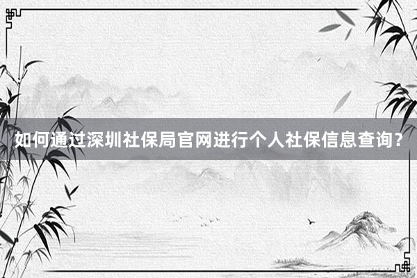 如何通过深圳社保局官网进行个人社保信息查询？